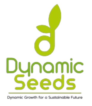 Dynamic Seeds